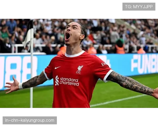 努涅斯加盟穆里尼奥传闻升温,帕切科发声助推,努涅斯集锦 努涅斯加盟穆里尼奥传闻升温,帕切科发声助推,努涅斯集锦